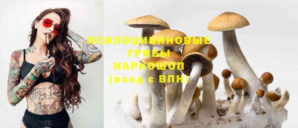 mix Армянск