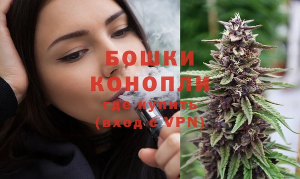 амф Осинники