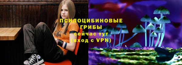 бутират Аркадак