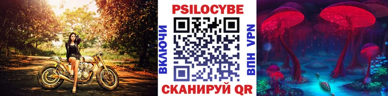 Галлюциногенные грибы GOLDEN TEACHER  darknet формула  Усть-Кут  ОМГ ОМГ как войти 
